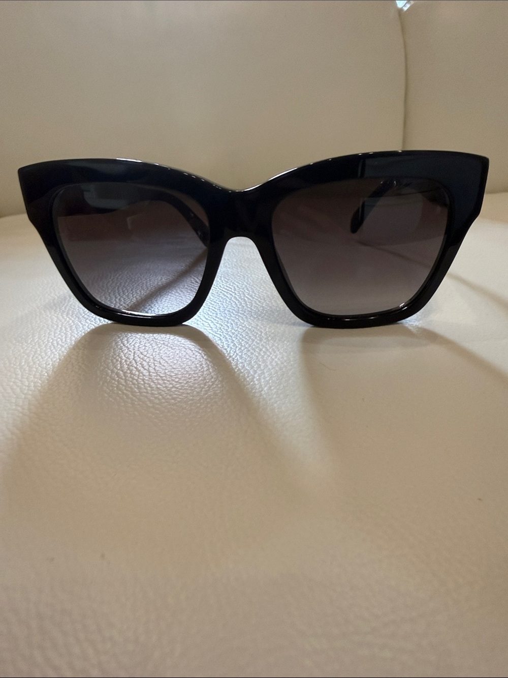 CELINE Women's Triomphe 09 Acetate Sunglasses - Picture 2 of 5